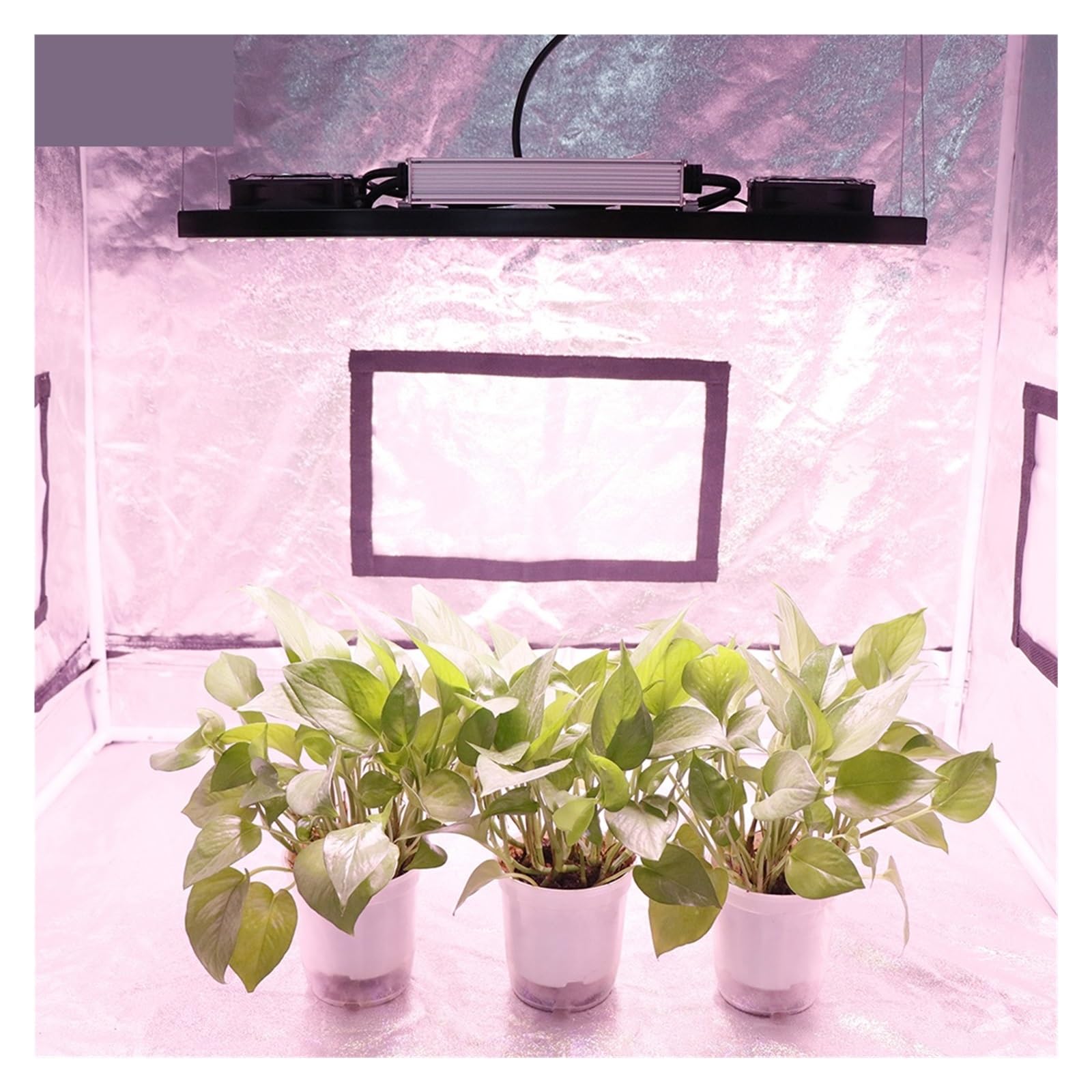 240W Diodo LED Coltiva La Luce Spettro Completo Sunlike Phyto Lampada for Veg Serra Idroponica Crescita e Piante Illuminazione Illuminatore orticolo