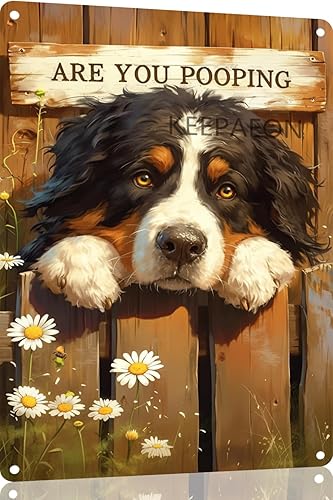 Pósteres de metal vintage con texto en inglés "Are You Pooping Bernese Mountain", diseño de margarita blanca para decoración de pared para el hogar,