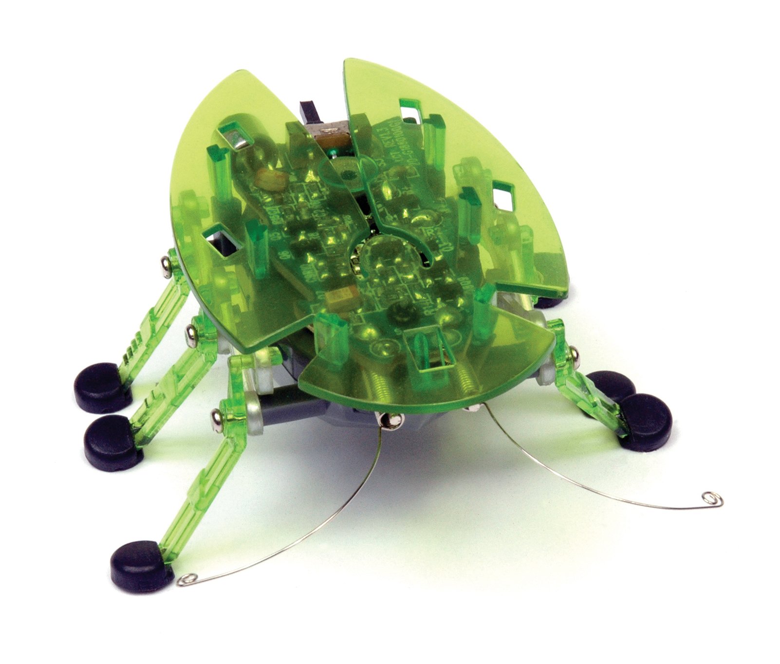 Amazon | HEXBUG ヘックスバグ カブトムシ (※1個・お色は