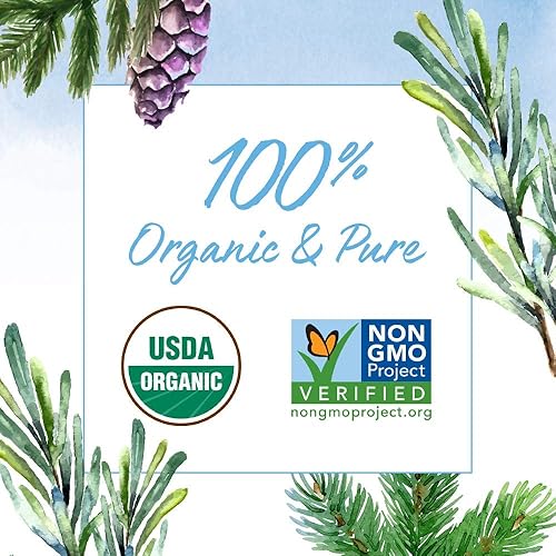 Miniatura 7 de Garden of Life Aceites esenciales, 100 % orgánico y puro romero, abeto negro y bálsamo de abeto  Mezcla de respiración para difusores, hogar,