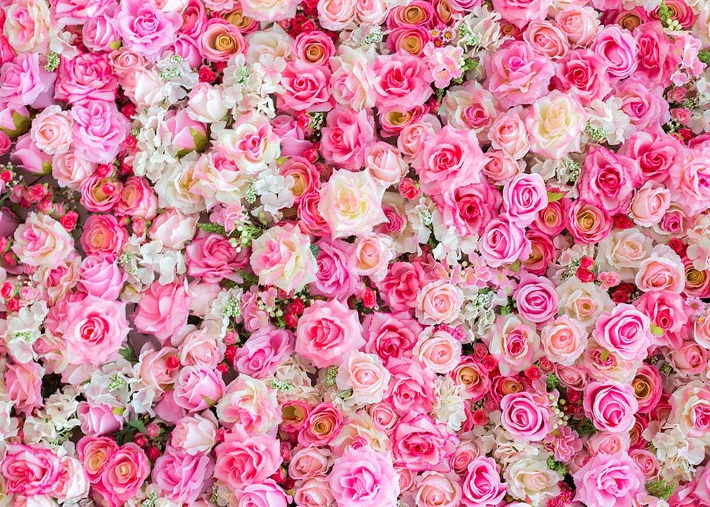 Special Pink Red Rose Flowers Theme Photography Backdrops 7x5ft Baby Shower Wedding Happy Birthday Day Photo Background Dessert Cake Table Decoration Supplies Studio Props Banner Vinyl Special Pink Red Rose Flowers Theme Photography Backdrops 7x5ft Baby Shower Wedding Happy Birthday Day Photo Background Dessert Cake Table Decoration Supplies Studio Props Banner Vinyl