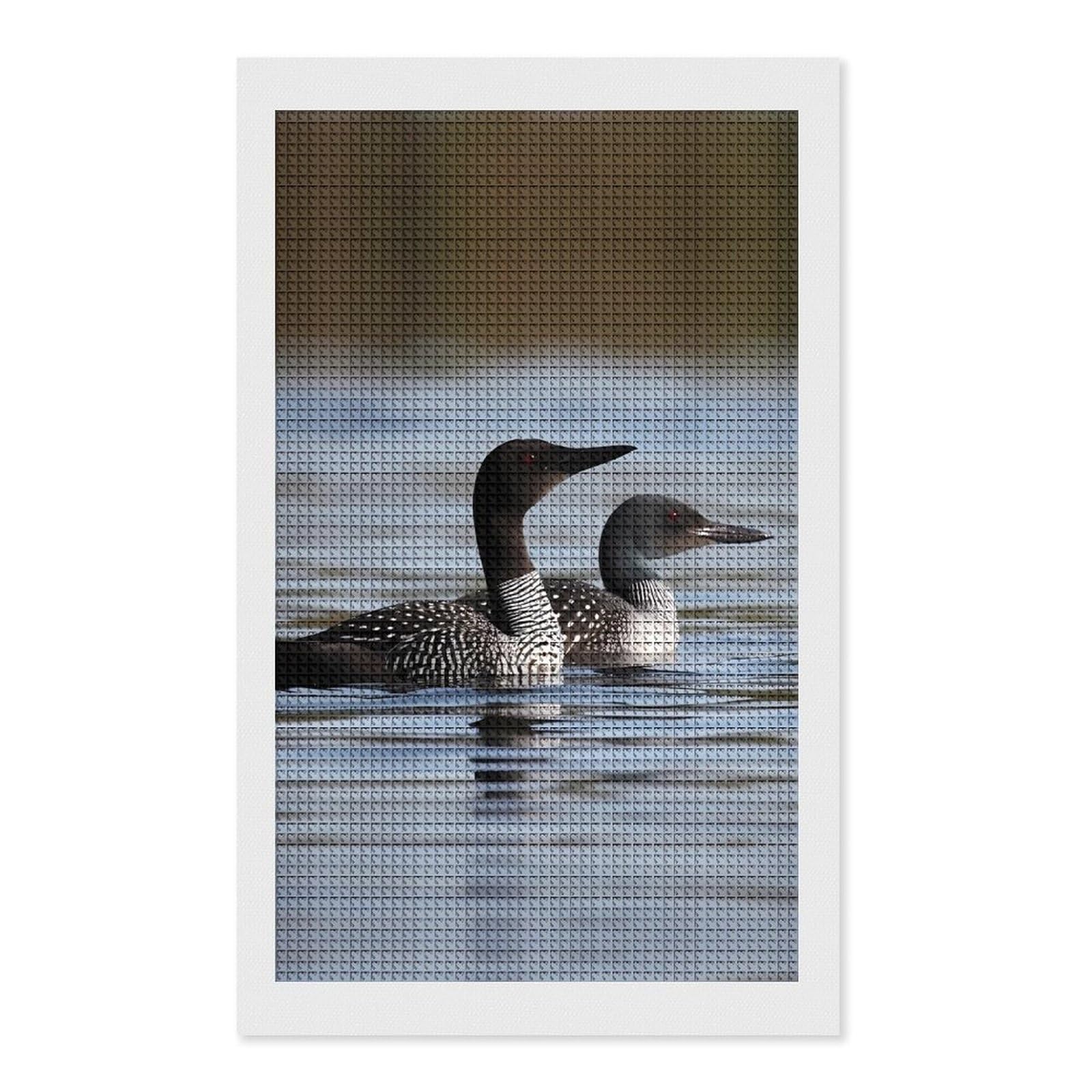 FodPand Loon Birds 5D Diamond Painting Kits for Adults Beginners Full Drill Square Diamond Dots Pictures Gem Art Supplies for Home Wall Room Decoration DIY Craft Set Gift 12x20