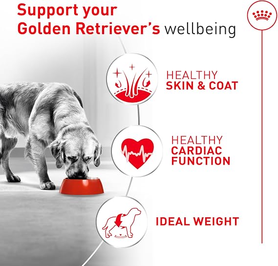 ROYAL CANIN Golden Retriever Adult Dry Dog Food, 30 lb Bag