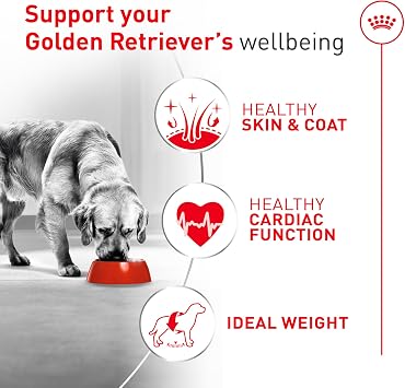 ROYAL CANIN Golden Retriever Adult Dry Dog Food, 30 lb Bag