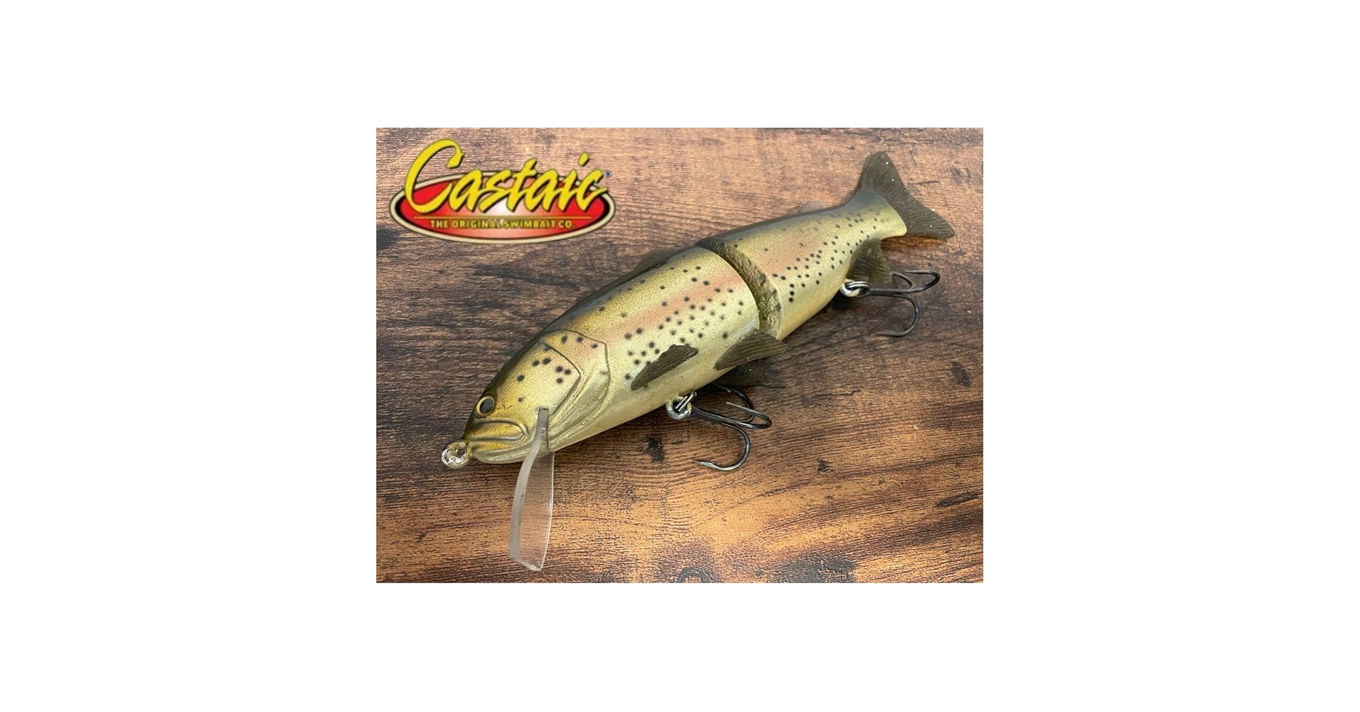 キャスティーク　T29 当時もの キャスティーク T29 当時もの 希少【ビッグベイト】キャス