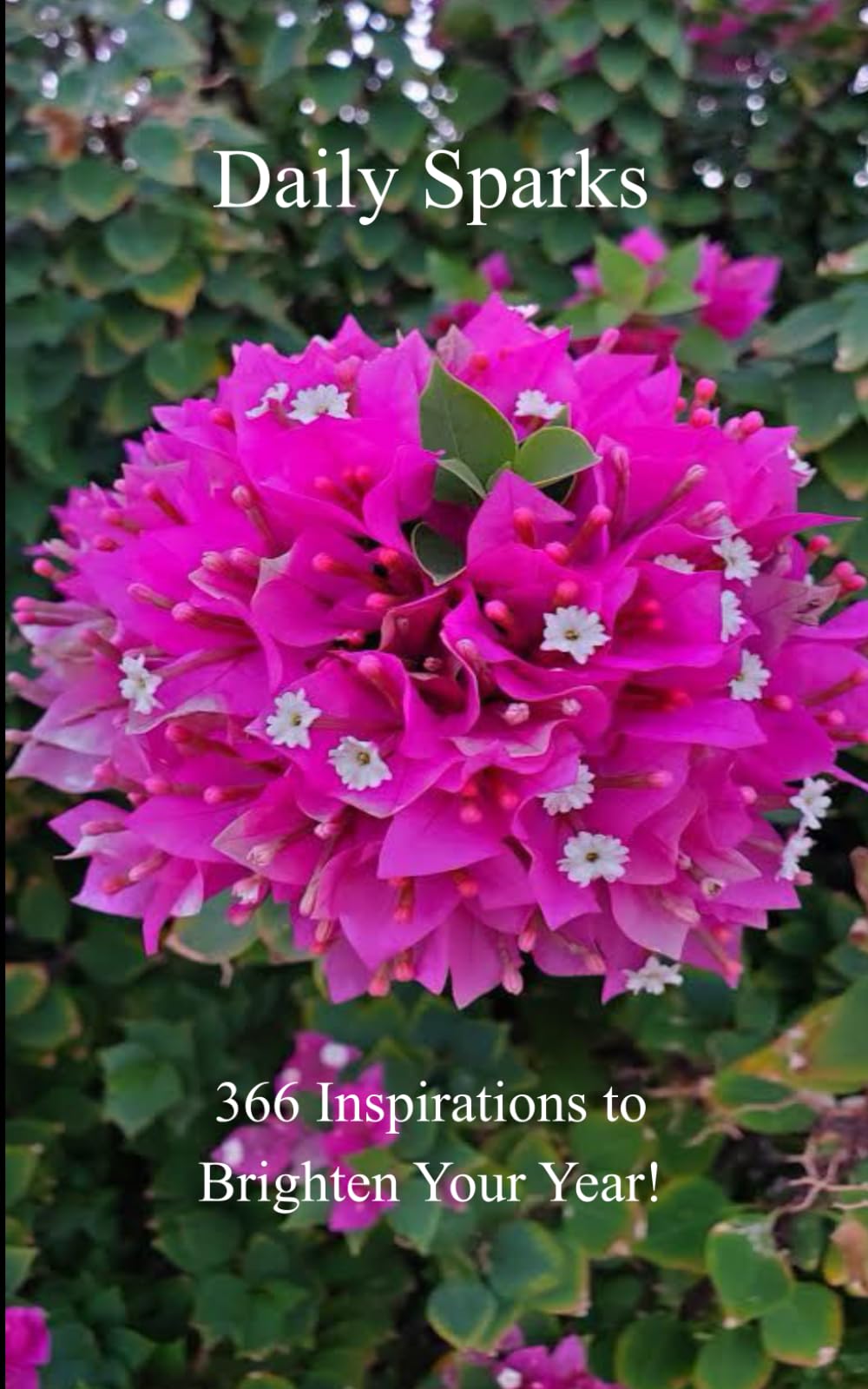 Daily Sparks: 366 Inspirations to Brighten Your Year