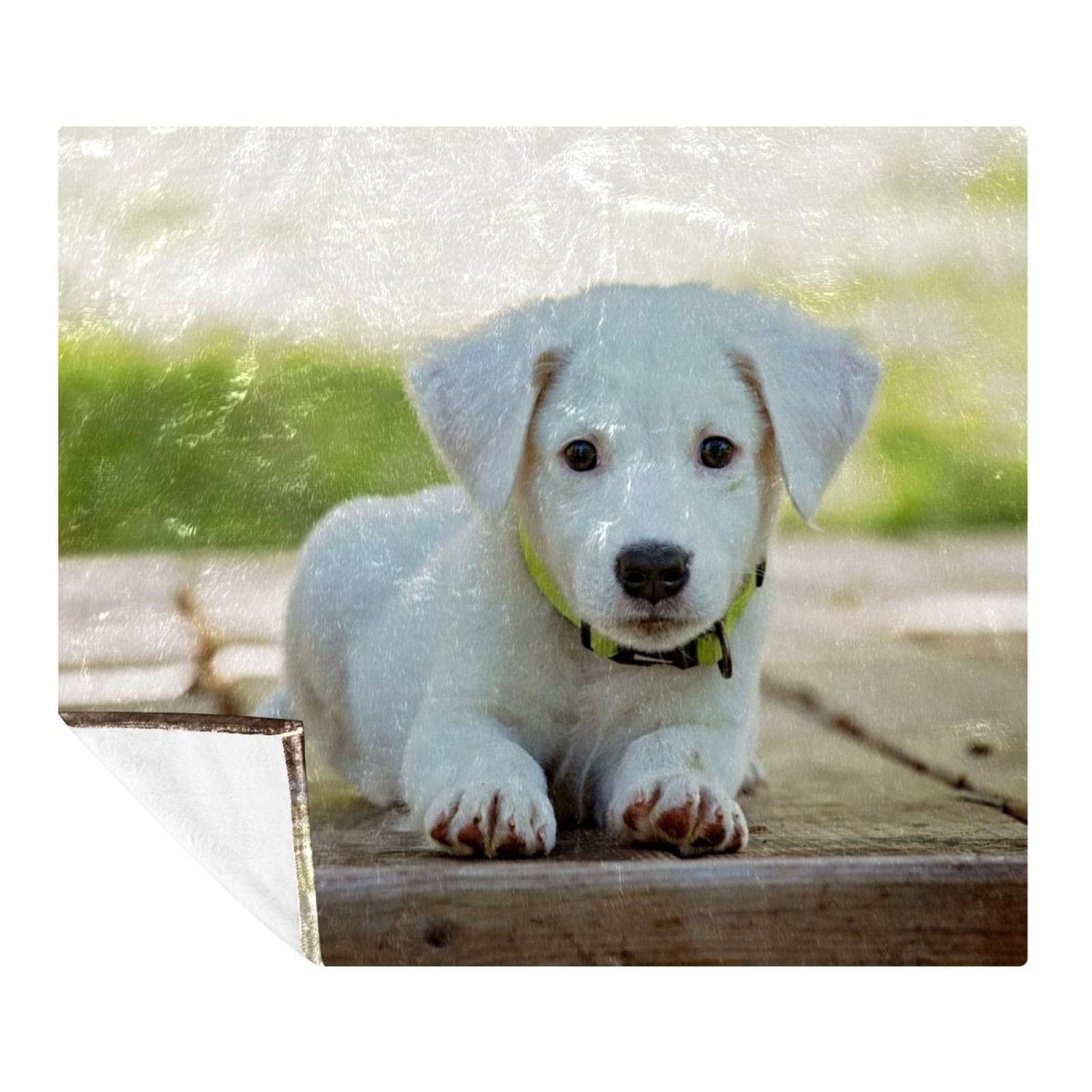 Manta de forro polar, súper suave y lujosa, manta de ropa de cama para cachorro, perro, color blanco, adorable canino