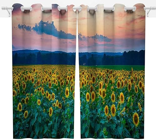 Cortina de panel de puerta con impresiones de fotografía escénicas, 2 paneles de cortinas de comedor de 85 x 108 pulgadas de ancho