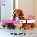 Ver la foto 2