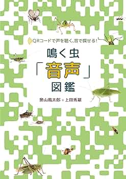 効果音集 （虫の鳴き声） 効果音集 （虫の鳴き声） sddefault.jpg