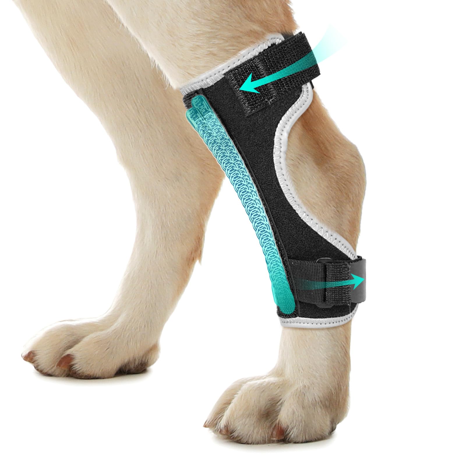 Dog Leg Braces for Back Leg- Hock and Ankle Joint Support Brace for Rear Legs with 2 Metal Strips, Reflective Edging for Sprain, Injury, Arthritis, Wound Recovery Black,S
