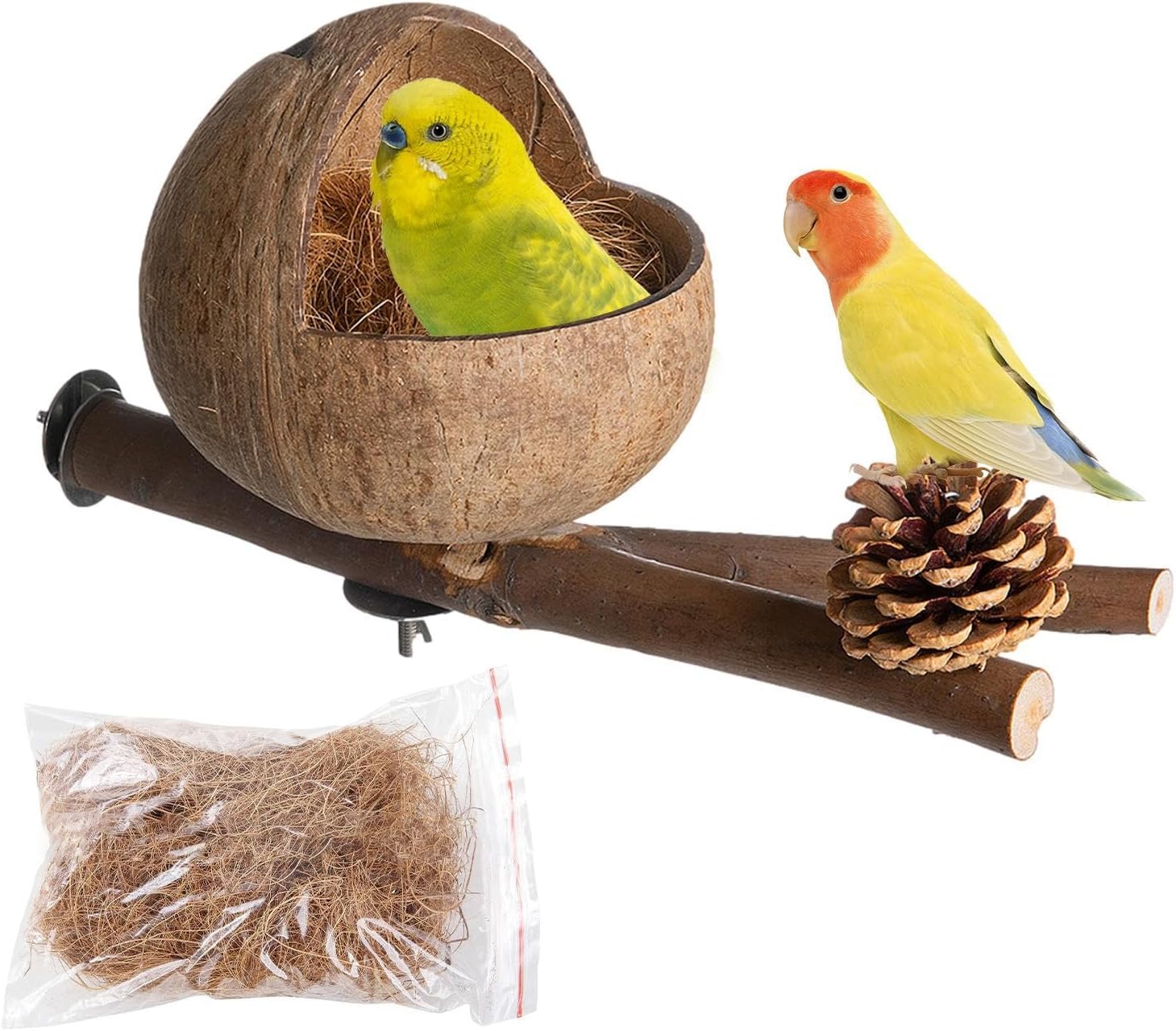 Generico Shell | Nidos for Parakeets for Parakeets Hamsters Squirrels Ra