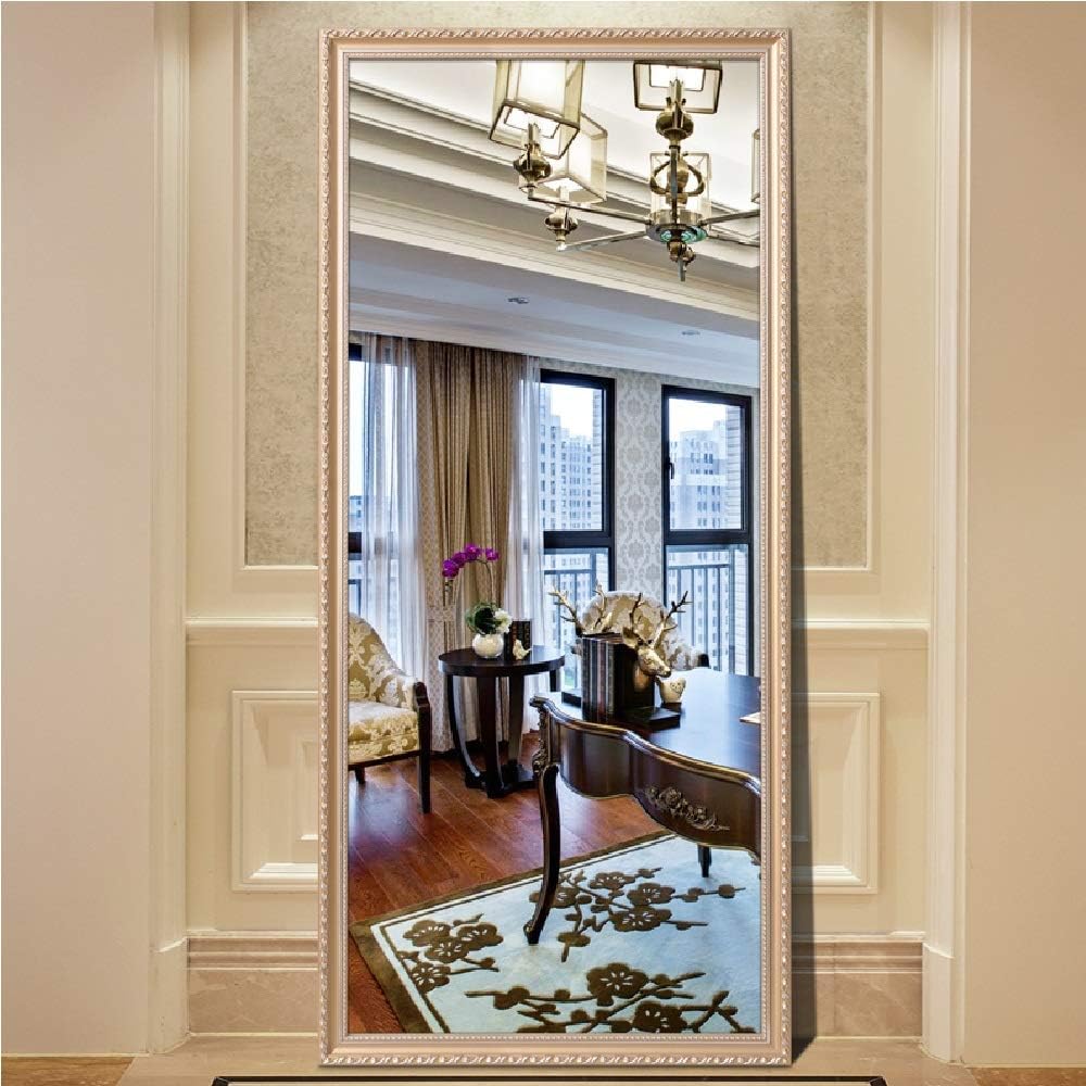 H & A 65"x24" Full Length Floor Mirror, Free Standing Dressing Mirror Bedroom (Champagne)