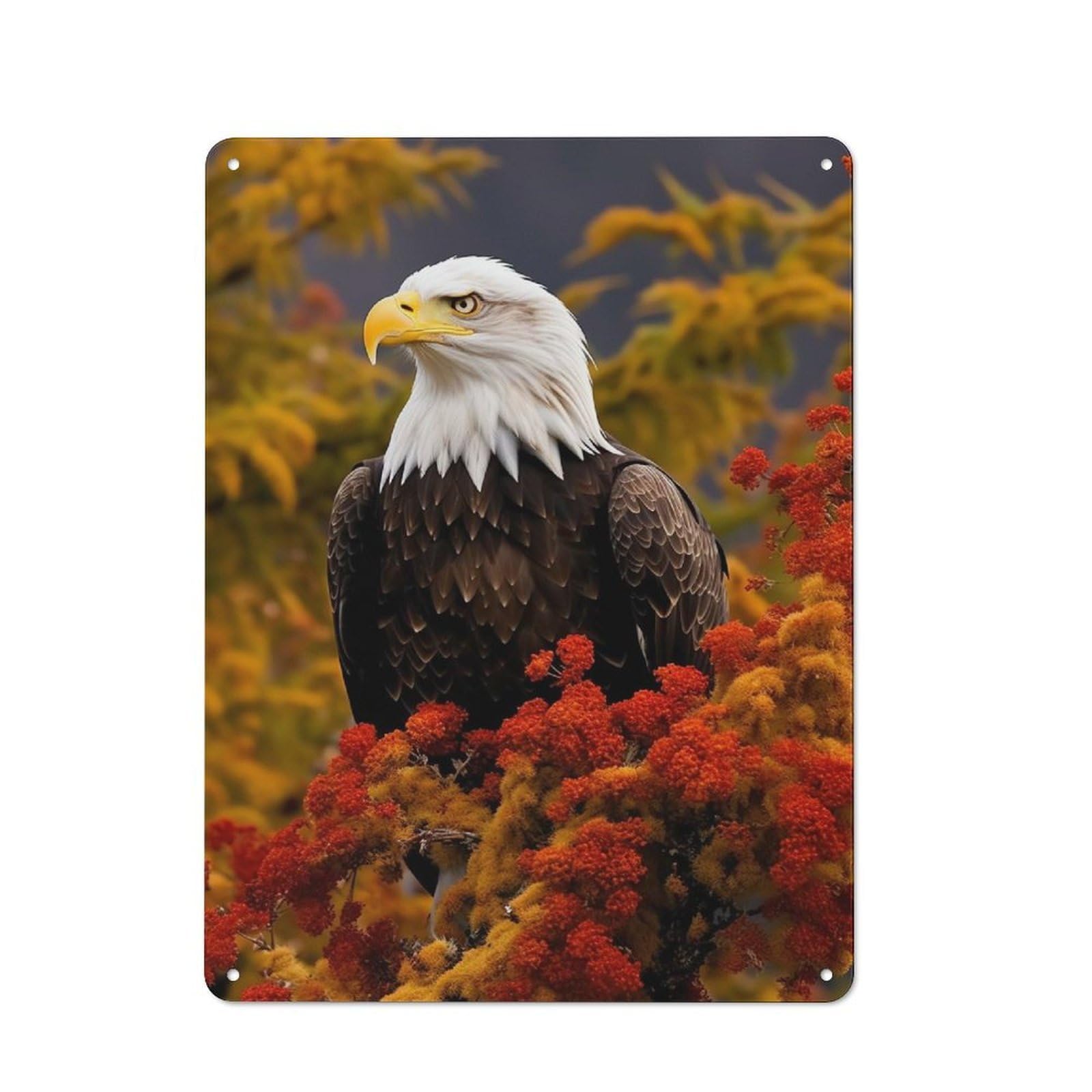 Junmoney Style-18 Tin Wall Plaque 40X30cm With Bald Eagle For Home Office Or Studio, For Garage, Workshop And Man Cave Decoration