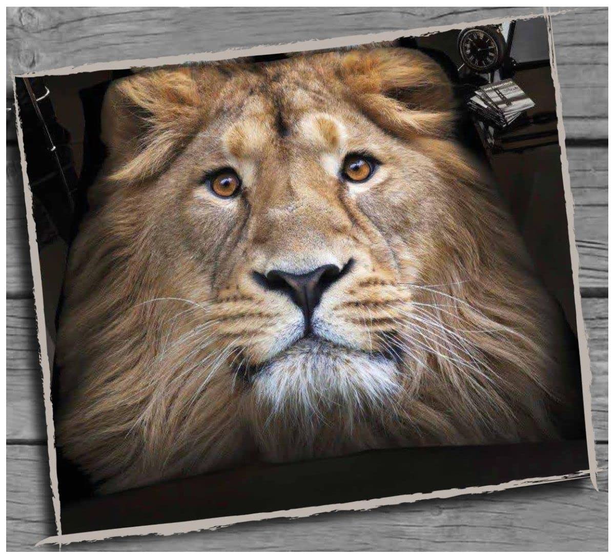 Super Soft Fleece Blanket Throws For Sofa Bed Settee, 3D Wildlife Animal Throw Blanket, 200x240 Cm, Lion