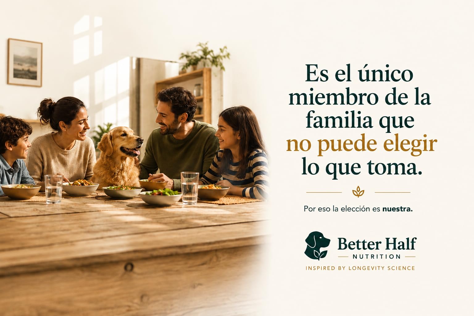 Condroprotectores Perros Masticable | Glucosamina, Condroitina, MSM y Colágeno | 120 Snacks Blandos para Articulaciones y Cadera | Move by Better Half Nutrition | Hecho en Europa | GMP+