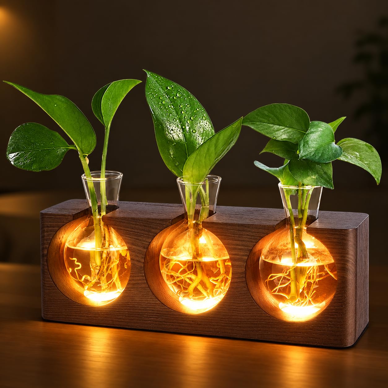 Pflanzenanzuchtstation mit Holzständer, Pflanzenterrarium mit 4 Modi, 9-stufige verstellbare LED-Lichter, 3 Glas-Anzuchtvasen für Hydrokultur, Anzuchtröhren, einzigartige Geschenke für Frauen