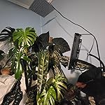 Review Image by Cheyanna Cheyanna