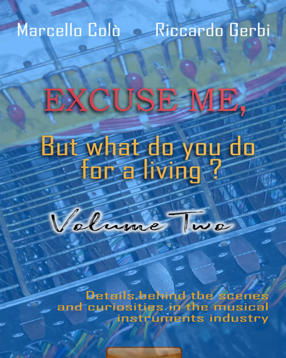 Excuse me , but what do you do for a living ? Volume Two.: Detail, behind the scenes and curiosity in the musical instruments industry.