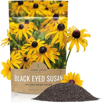 Black Eyed Susan Seeds Bulk Quarter Pound Bag Over 400,000 Open Pollinated Non-GMO Wildflower Seeds Rudbeckia hirta