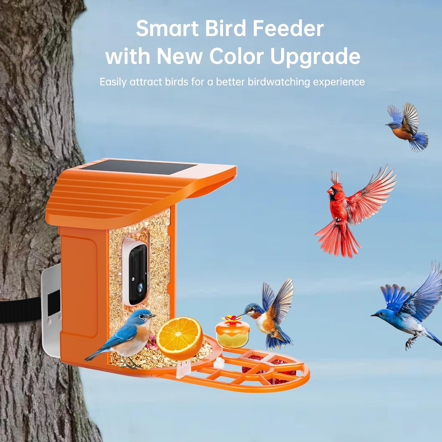 Smart Bird Feeder with Camera, Vibrant to Attract Birds, 2K HD AI BirdSpecies Identification, 2 Solar Panels, Weatherproof Outdoor Design - Ideal Gift for Family & Bird Lovers(Orange)