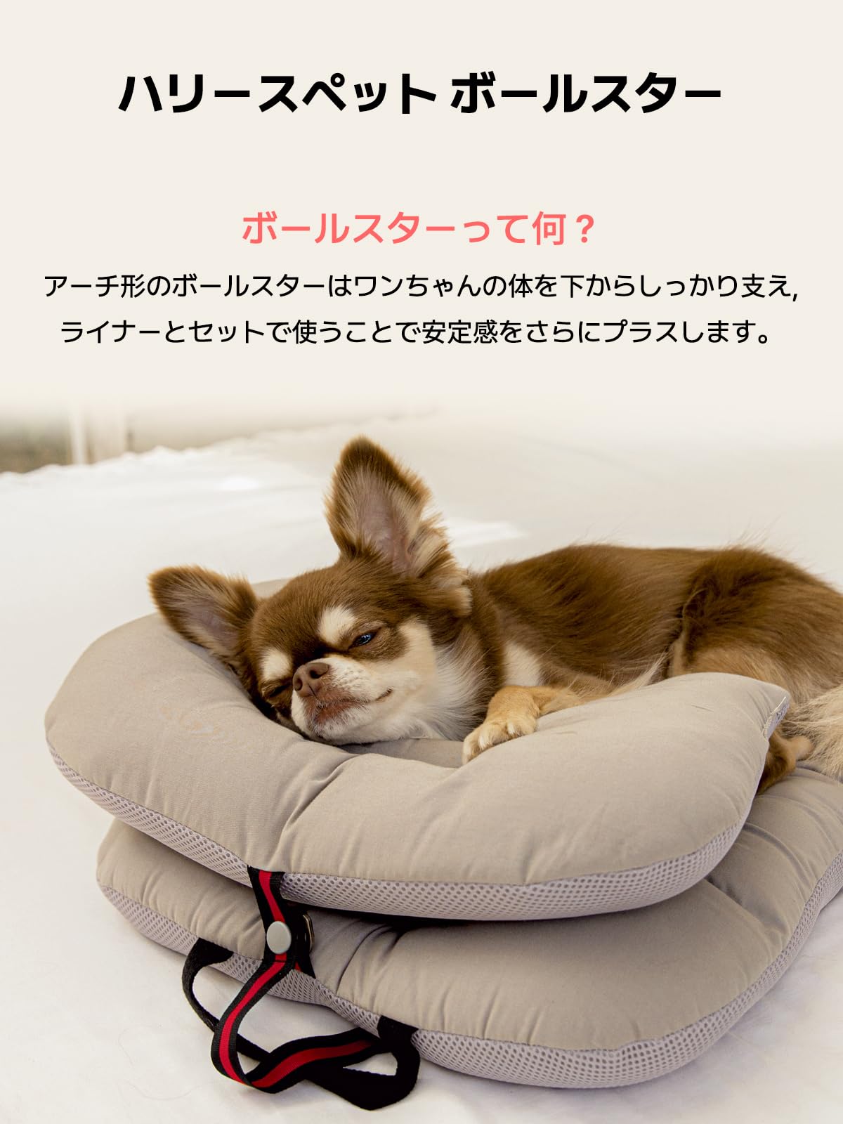 ハリースペット2点セット 2点セット】HARRYS PET ハリーズペット