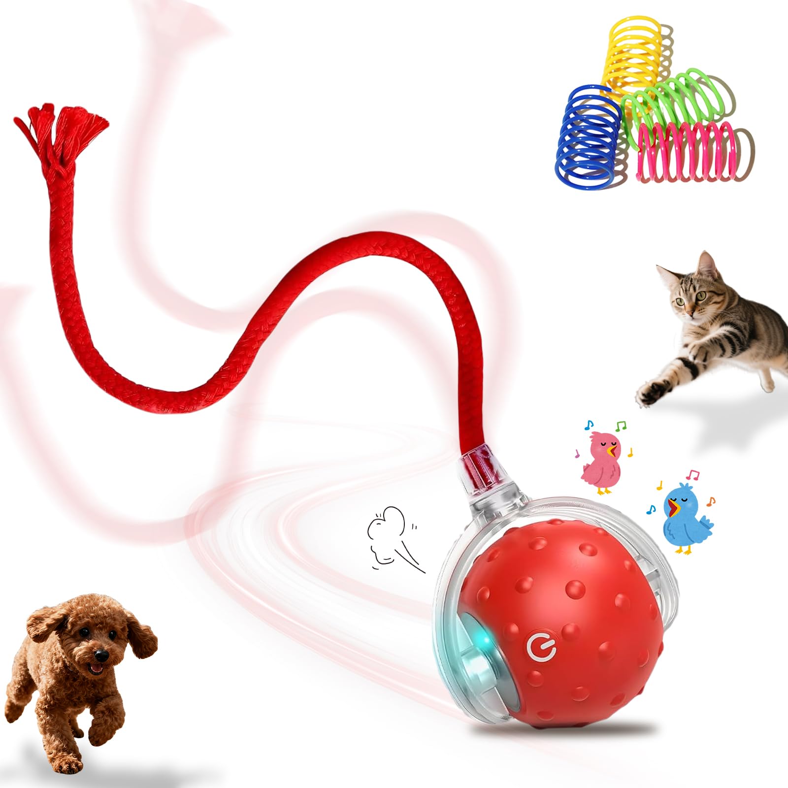 Balle interactive pour chat et chien d'intérieur, jouet automatique pour chat avec évitement intelligent des obstacles, rejets d'oiseaux et réveil automatique, comprend 4 ressorts en spirale