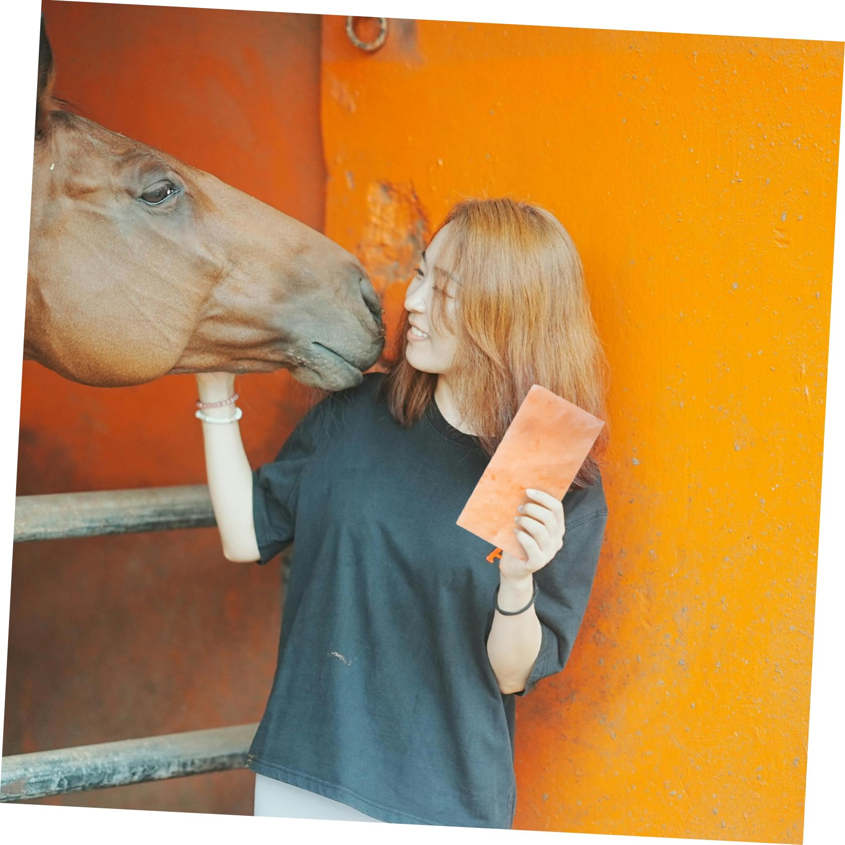 BESTonZON Licking para Ganado Ovejas y Caballos Fuente Mineral Esencial para Nutrición y Digestión Duradero y Conveniente