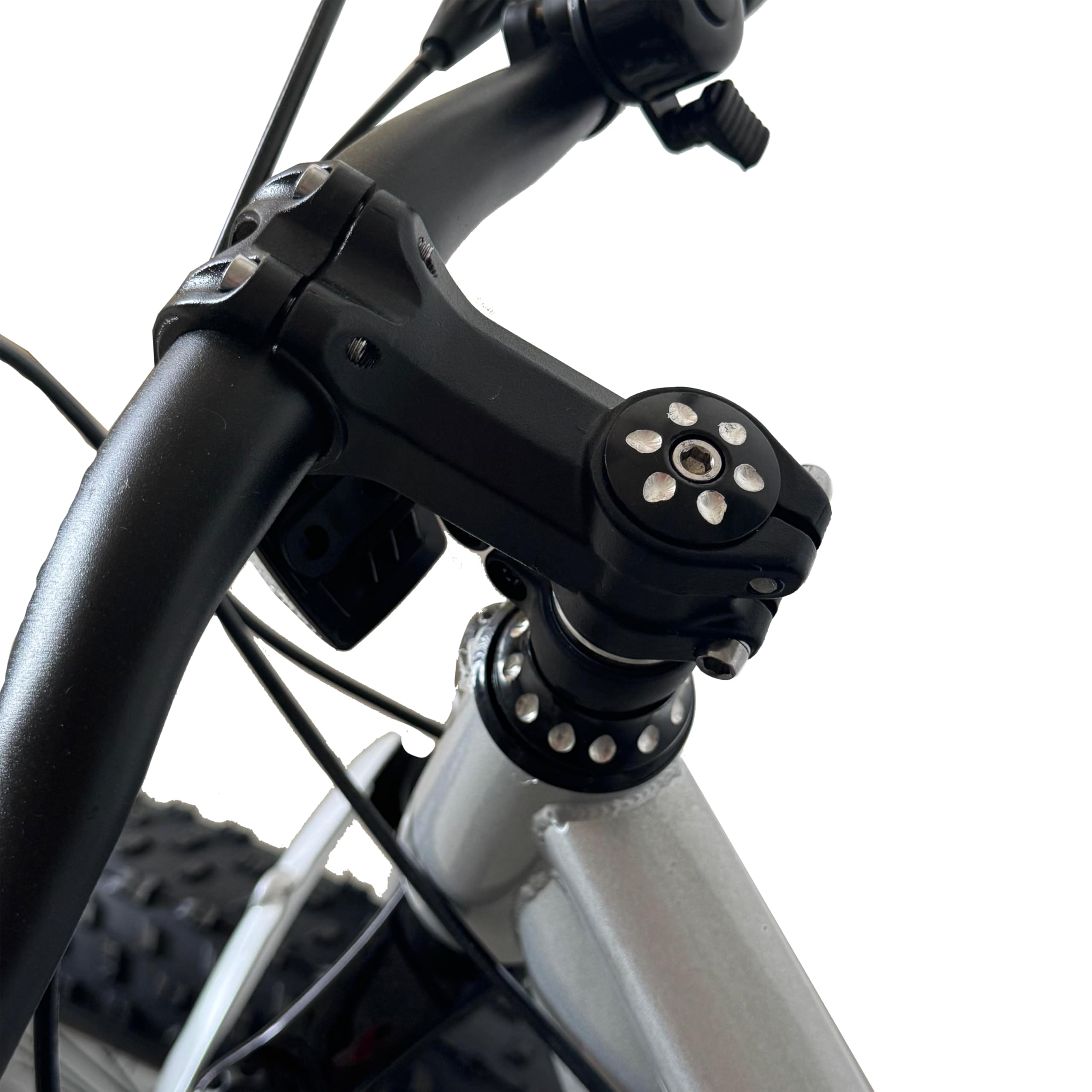 FATWHEEL Bicicletta per bambini misura 20", Fat Bike con Freni a Disco, Ruote Grosse Antiscivolo, Telaio Robusto, Bici per Ragazzi 7-12 Anni, MTB per Tutti i Terreni