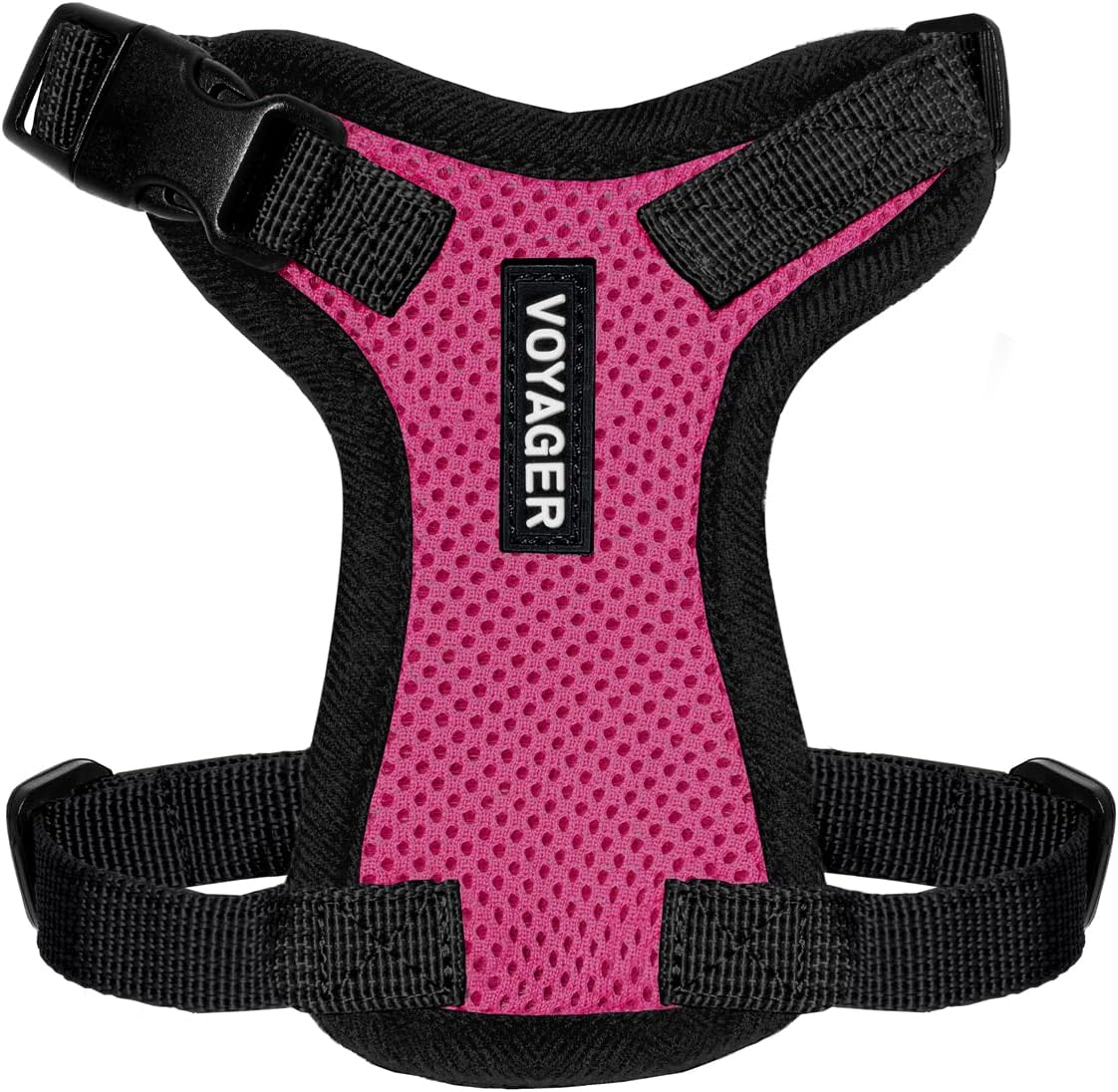 Voyager Step-in Lock Cat Harness and Reflective Cat Leash with Neoprene Handle by Best Pet Supplies, Supports Small
