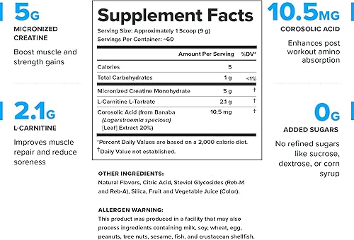 Miniatura 44 de LEGION Recharge Post Workout Suplemento – Bebida natural de construcción muscular y recuperación con monohidrato de creatina micronizada