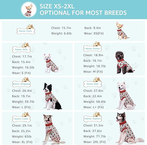 Miniatura 29 de Traje de cirugía para perros pequeños, esterilización femenina, traje profesional de recuperación para perros después de la esterilización, traje 2