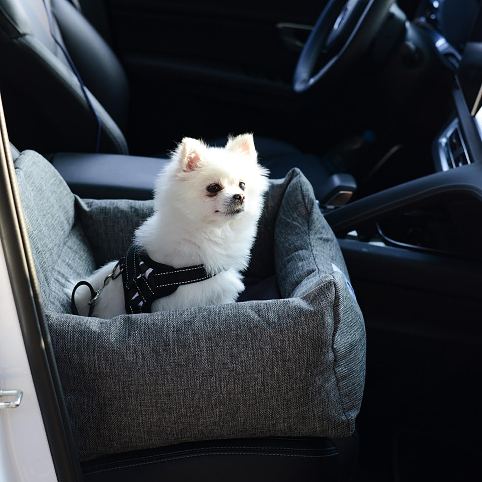 ¿Asiento Elevado de Viaje para Mascotas? Caseta portátil, Cama de Viaje | Transportador Plegable para Mascotas, Jaula Impermeable para Perros para Razas pequeñas, Gatos, cojín extraíble, diseño