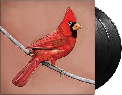 Old Crows / Young Cardinals por Alexisonfire — capa do álbum