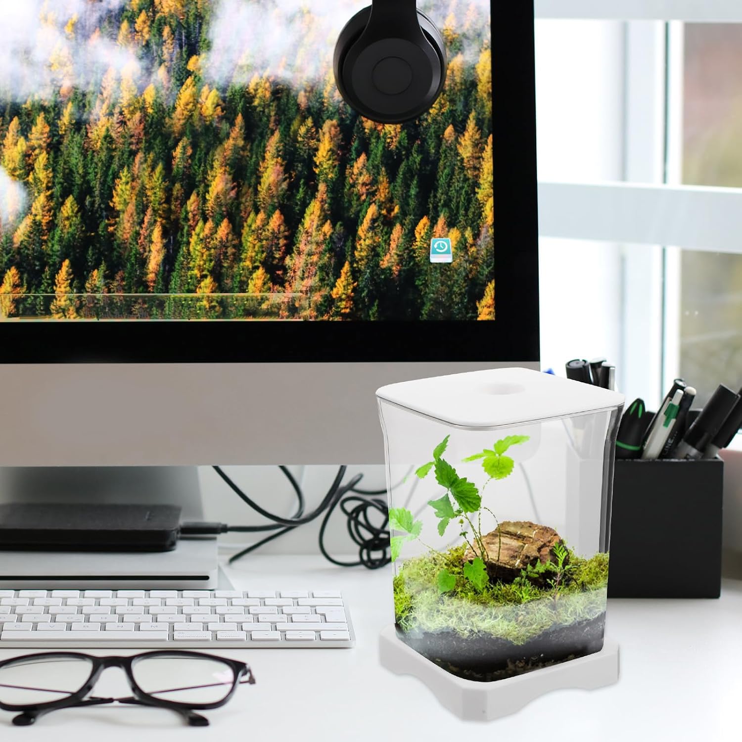 Small Plastic Aquarium Desktop Fish Bowl with Top Feeding Hole | Rectangular, High Transparency Material, Compact Decorative Design, Office Home