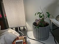 Review Image by Montana