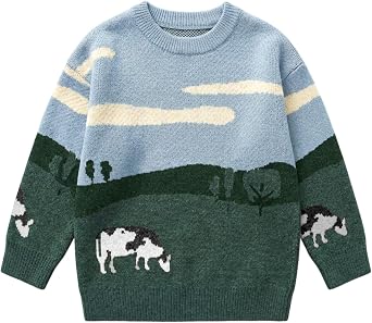 Wyeysyt Boys Sweater Crew Neck Cute Graphic Sweaters Oversized Long Sleeve Chunky Knit Pullover