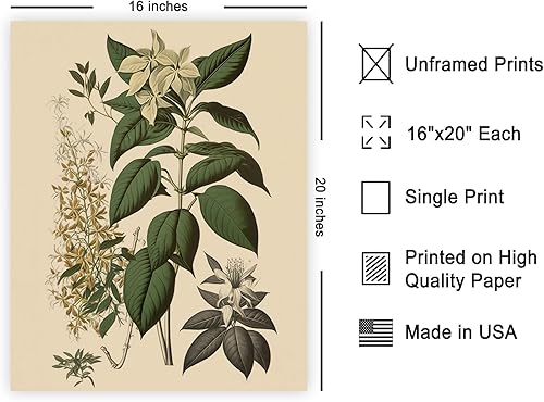 Miniatura 510 de Poster Master Póster vintage de orquídea, estampado de flores retro, arte de pared de plantas exóticas, arte botánico, regalo para hombres y