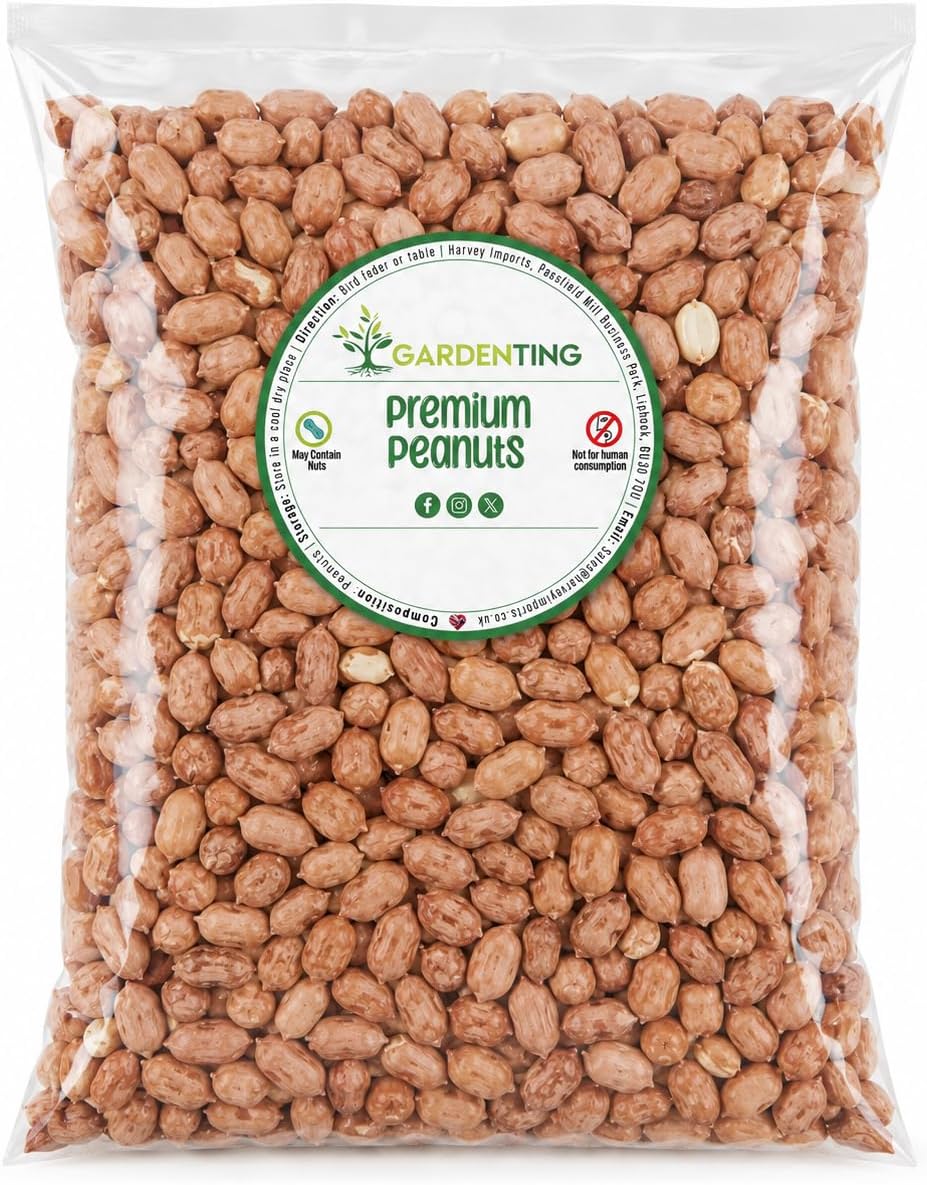 Peanut Kernels, 3L Refill