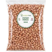 Peanuts Wild Bird Food Nuts Whole, 3L Bag, Wild Bird Food