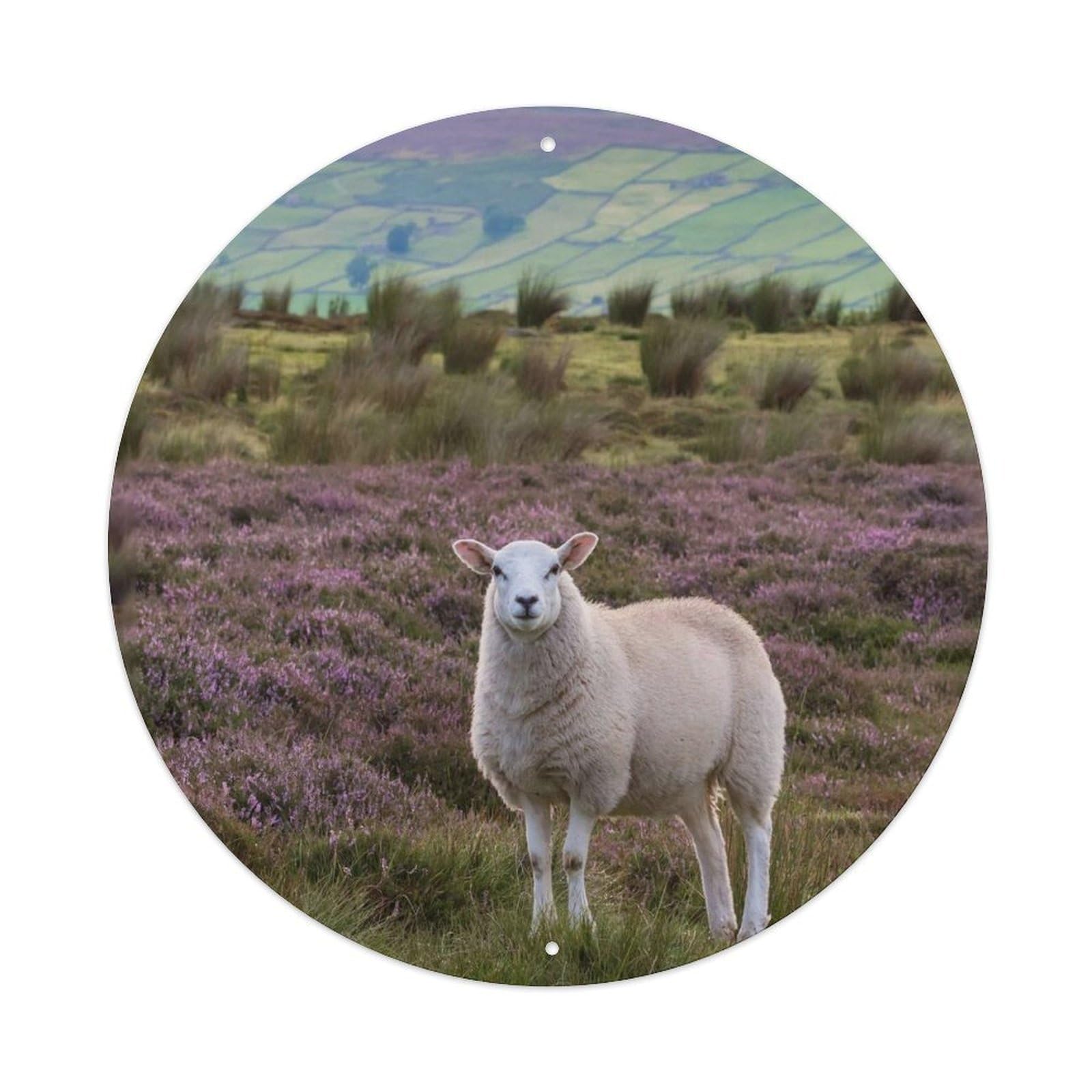 Animal Sheep Vintage Metal Tin Sign Plaque Wall Decor for Cafe, Club Bar, Office, Garden Metal Poster 8x8Inch