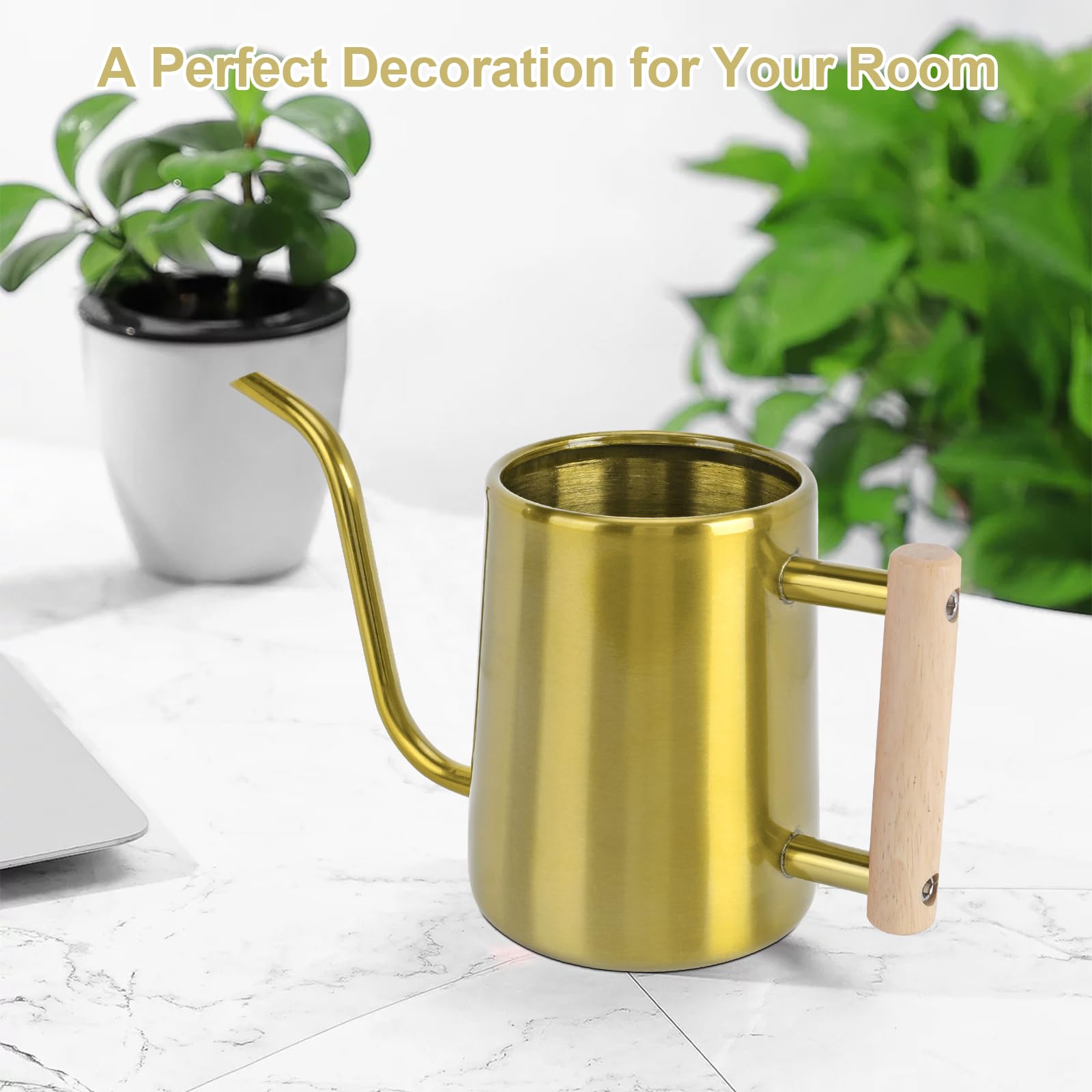 Watering Can Indoor Plants, 35 oz/1000 ml Metal Stainless Steel Watering Can Pot with Long Spout for Indoor House Plants Bonsai Outdoor Garden Flower Decorative (): Gold