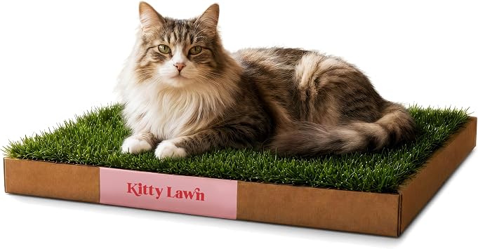 Kitty Lawn Real Grass Cat Lounger & Bed - Natural Grass Pad for Cats 24x16