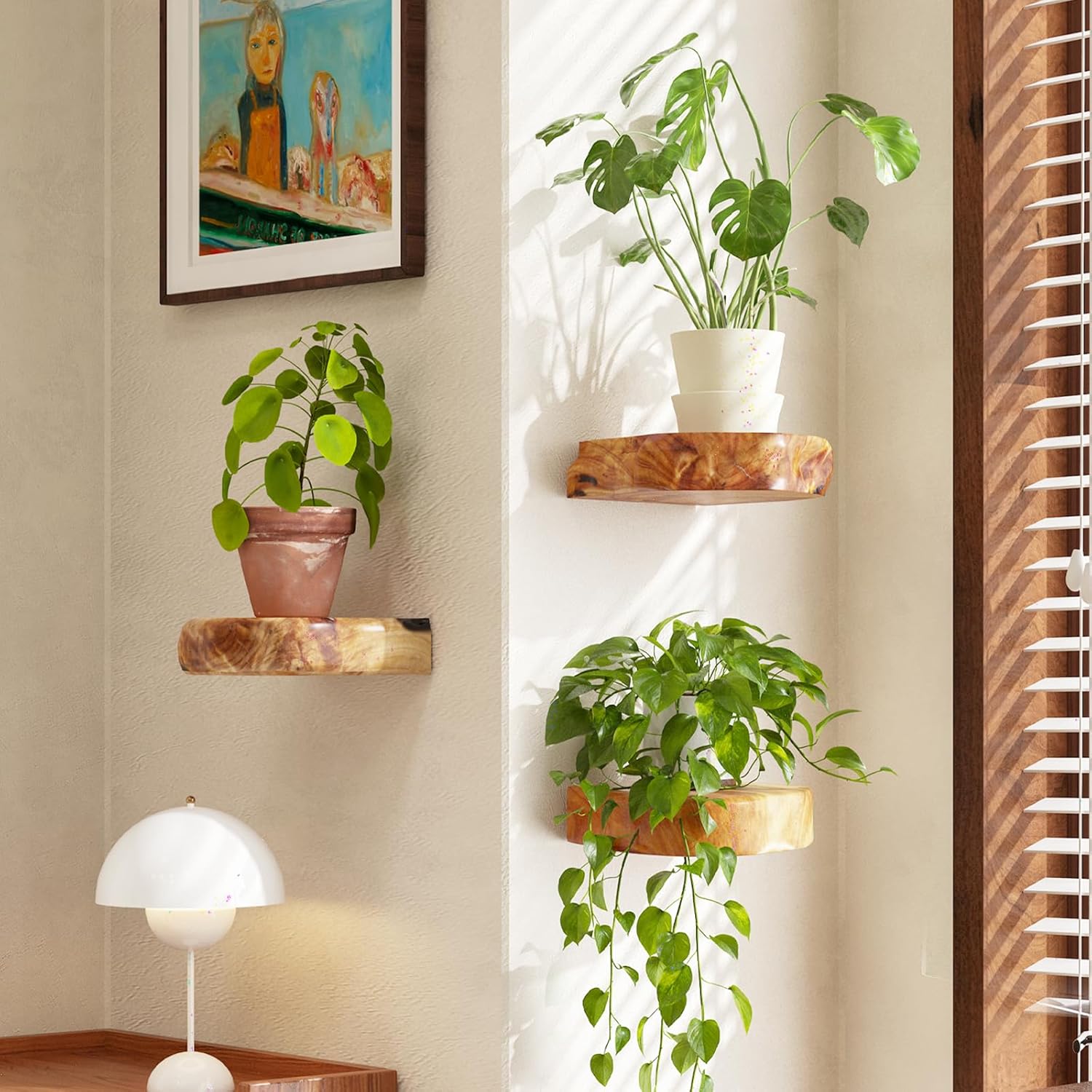 WELLAND Natural Edge Cedar Wood Show Case Display Shelves, Wood Floating Shelf, Set of 3, 6 x 6 x 1.6 inches - Rustic Wooden Floating Wall Shelves for Home Decor, Plants, Photos, and Collectibles