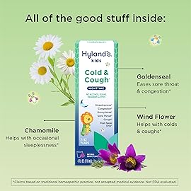 Hyland\'s Kids Cold and Cough, Nighttime Grape Flavor Cough Syrup Medicine for Kids Ages 2 and up, Decongestant, Sore Throat, and Sleeplessness Relief of Common Cold Symptoms, 4 Fl Oz