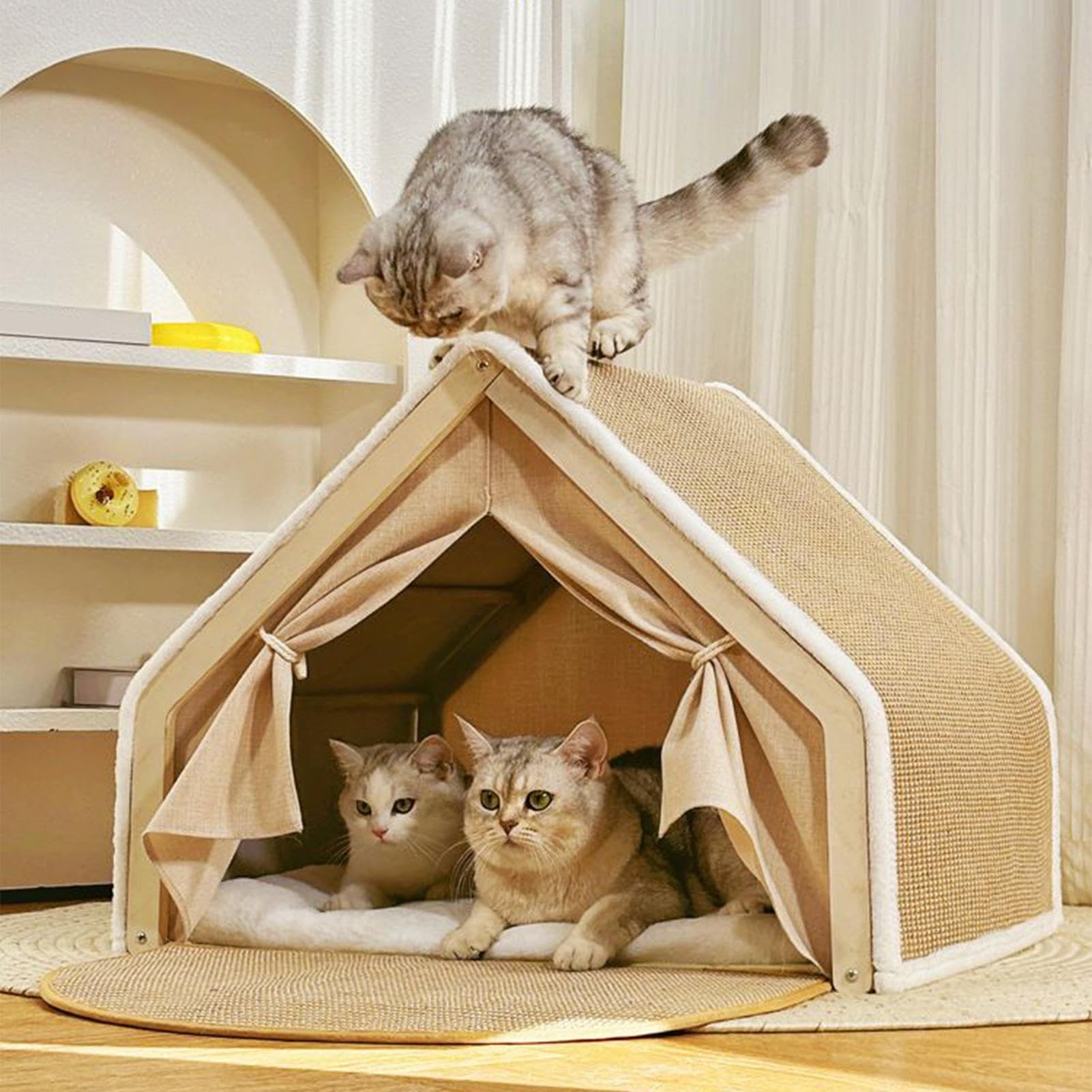 Tenda Cuccia Gatti Casa Riposo e Giochi con Tiragraffi in Sisal | Cuccia Gatti Tutte le Stagioni per Casa Soggiorno Camera da Stanza per Animali Inverno Pavimento
