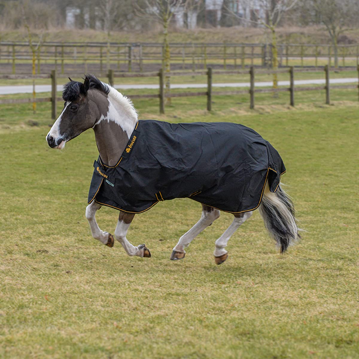 Bucas Irish Turnout Light 50g Classic 1200D - Pony - black/gold, Groesse:105