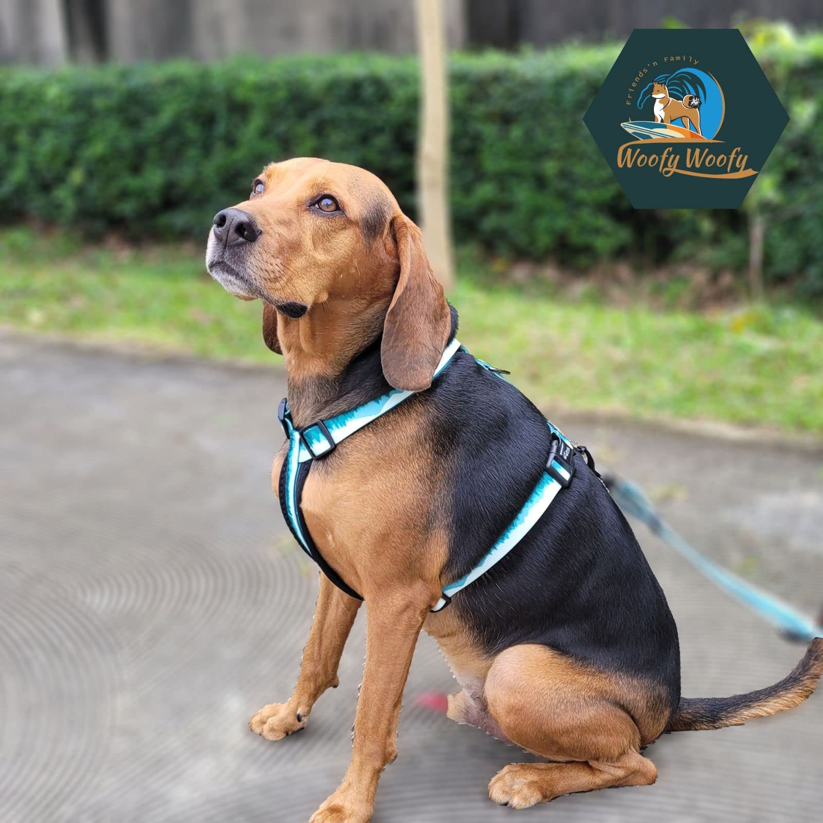 Arnés casual H para perro, arnés ajustable para perro, sin tirones, para uso diario y entrenamiento con acolchado suave (L)