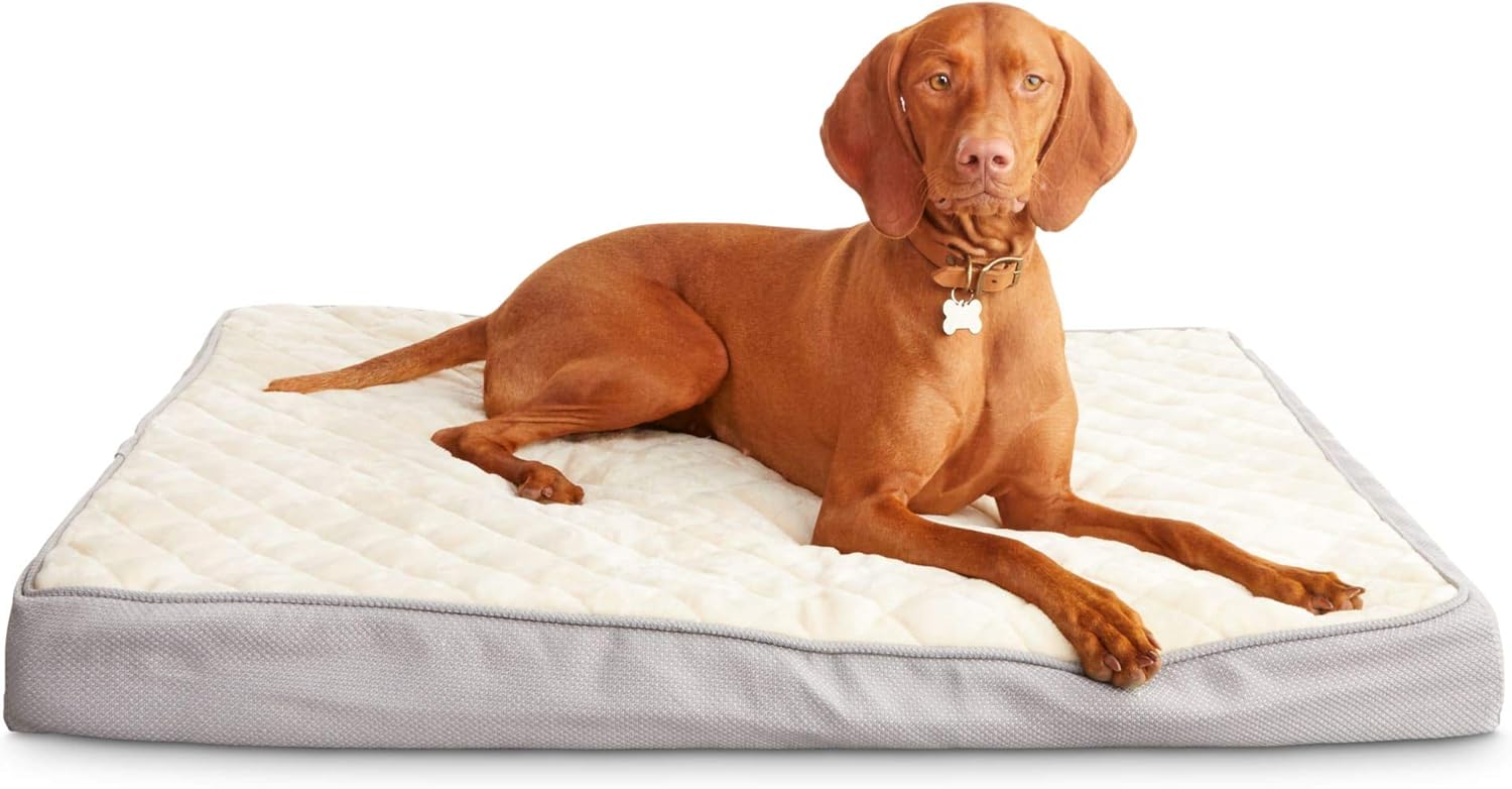 harmony memory foam dog bed