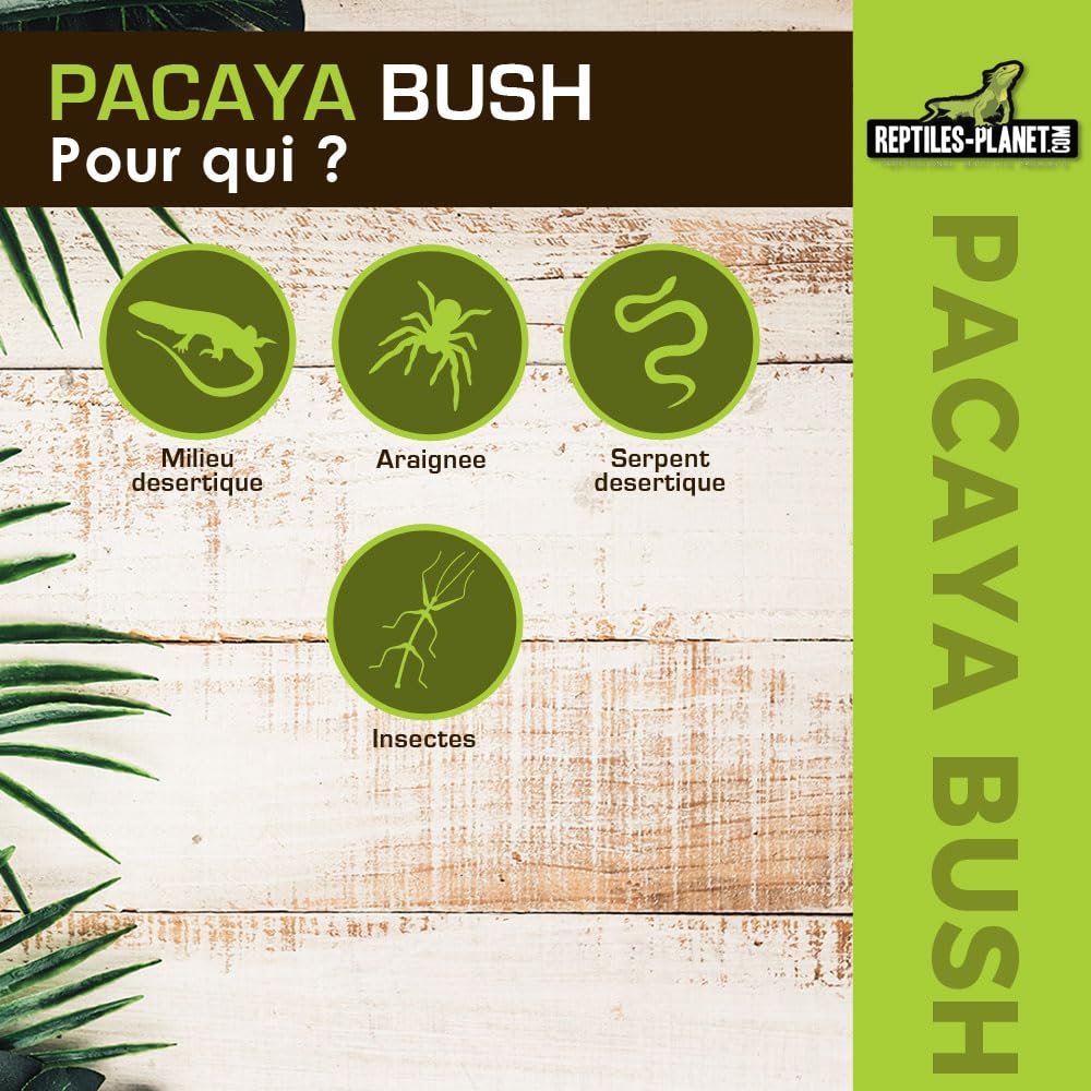 REPTILES PLANET - Pacaya Bush- Plante Artificielle - Décoration pour Terrarium - 20 cm